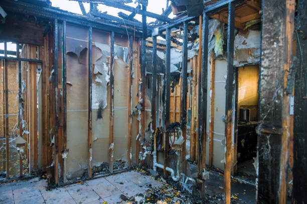 Professional Smoke Damage Removal technician working in Buellton, CA